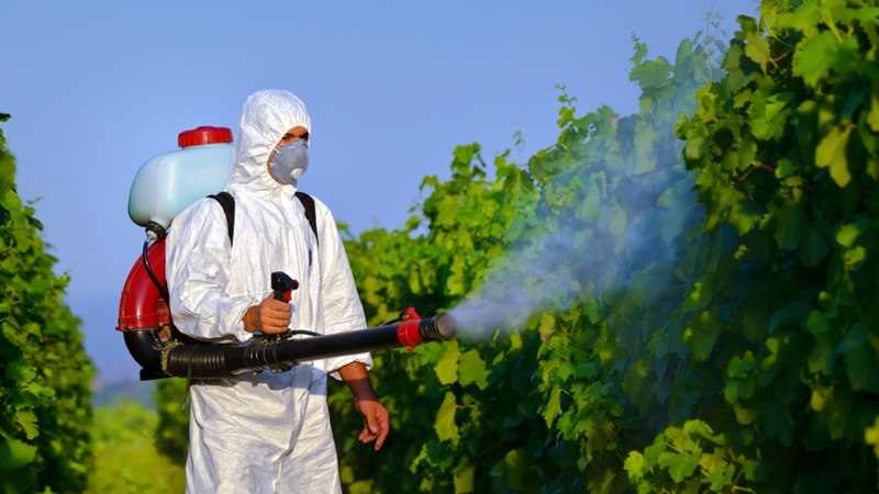 Böcek İlaçlama