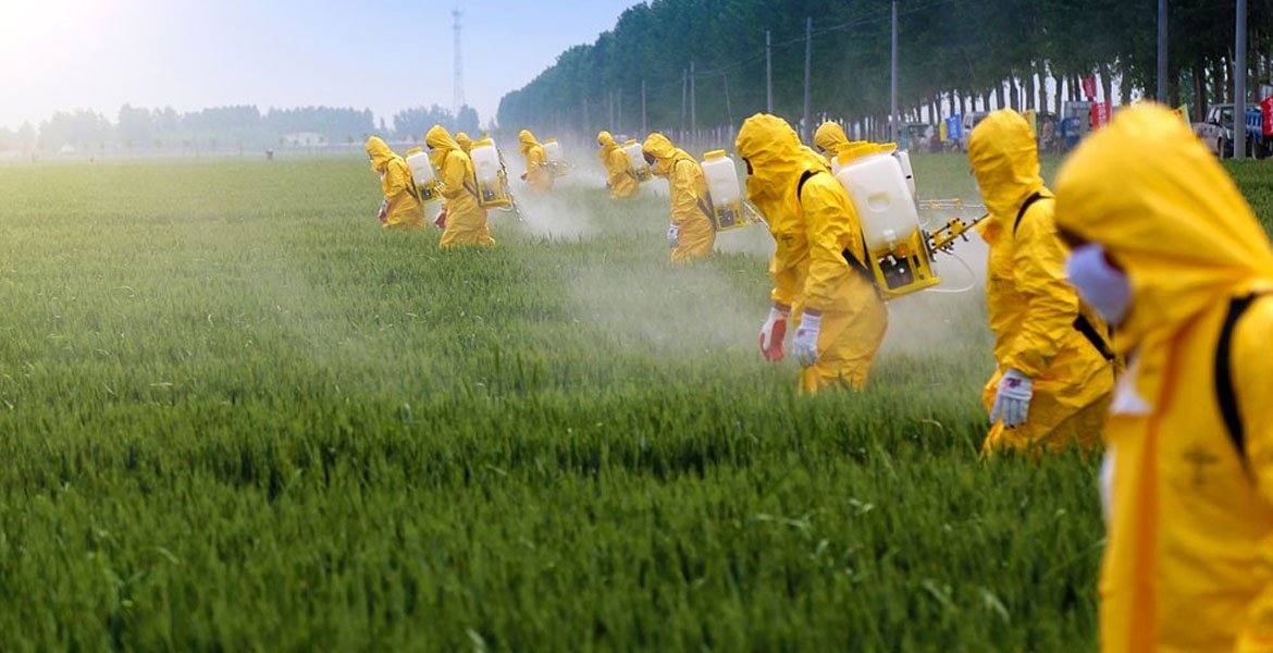 Yabani Ot İlaçlama